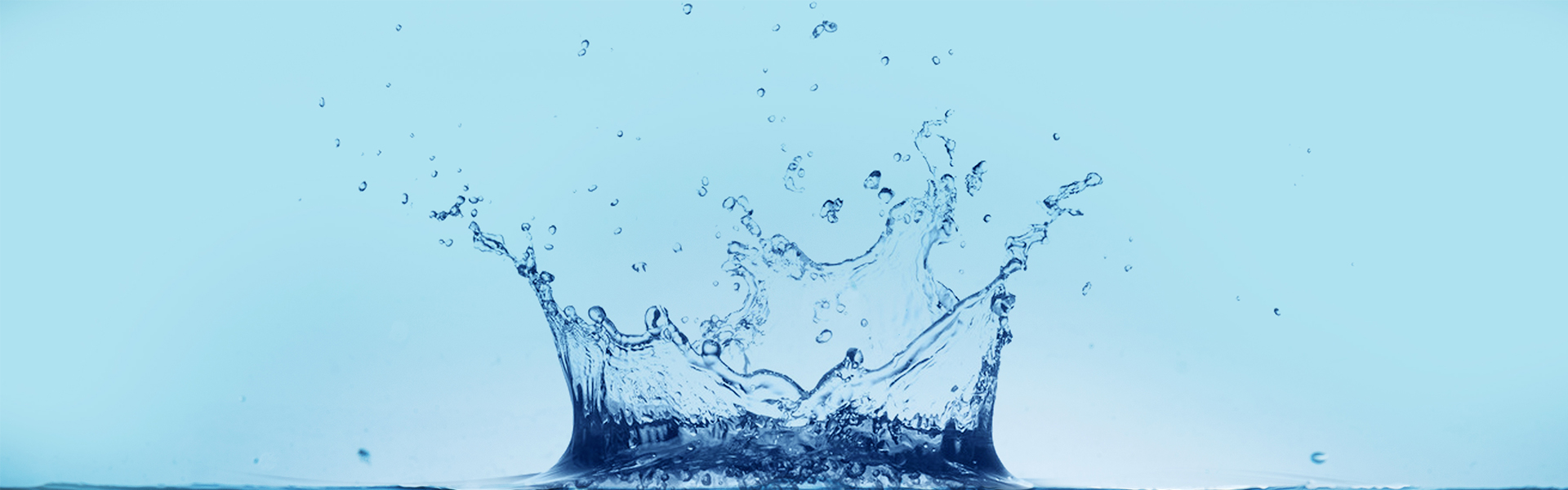 z6com·尊龙(中国)时凯集团