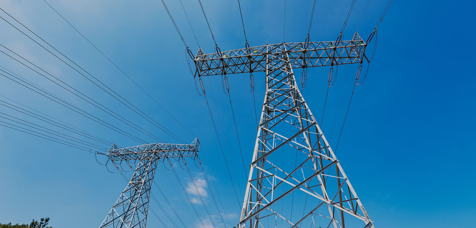 z6com·尊龙(中国)时凯集团