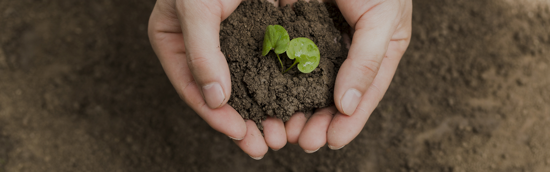 z6com·尊龙(中国)时凯集团